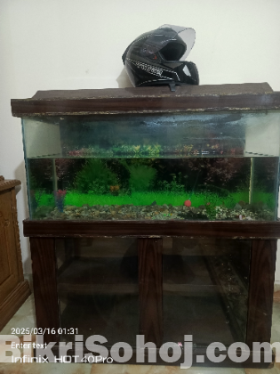 Aquarium